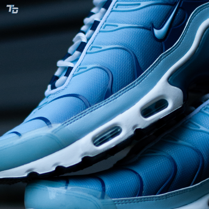 Nike Air Max Plus TN Celestine Blue (Brand New)