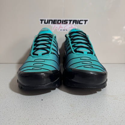 Nike Air Max Plus TN Aqua Fade (Second Hand)
