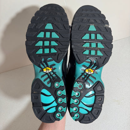 Nike Air Max Plus TN Aqua Fade (Second Hand)