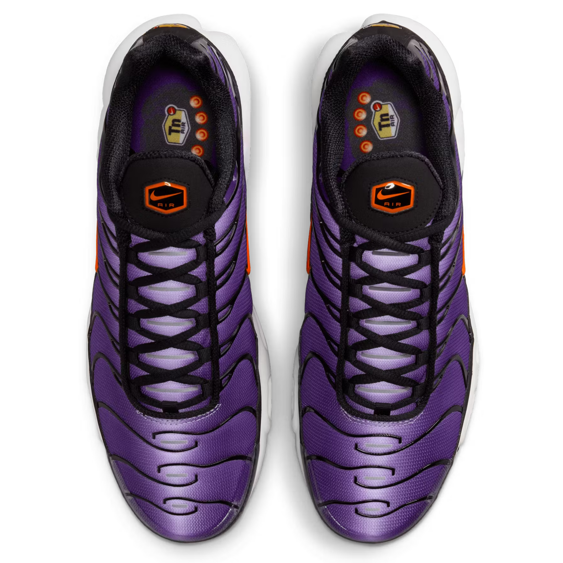 Tn voltage shop purple